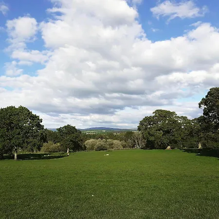 The Plough 住宿加早餐酒店 卡莱尔